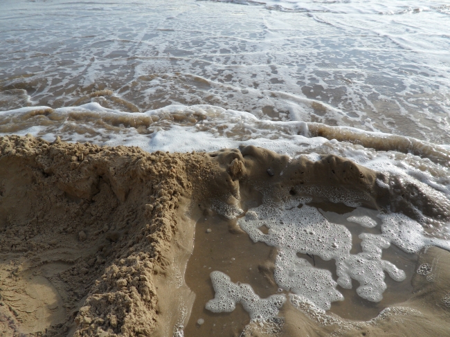 sables d'olonne,sables de septembre,mavra nicolaïevna novogrochneïeva,mouettes,plages,olonne
