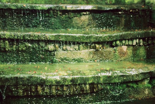 Roll1_B0B4610-R1-02-2.JPG